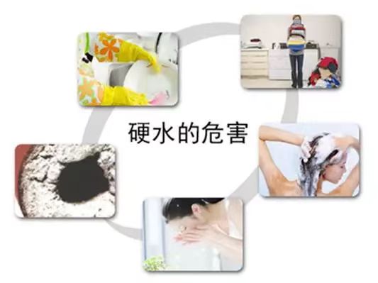 20602082510.jpg
